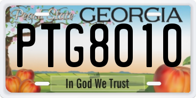 GA license plate PTG8010