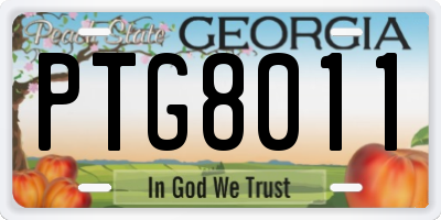 GA license plate PTG8011