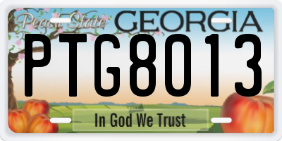 GA license plate PTG8013