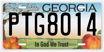 GA license plate PTG8014
