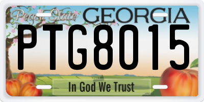 GA license plate PTG8015