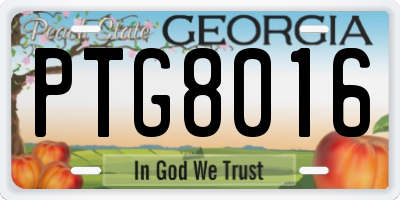 GA license plate PTG8016