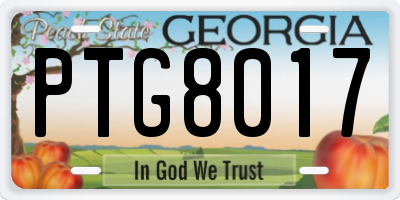 GA license plate PTG8017