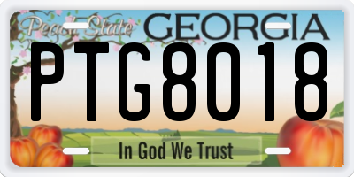 GA license plate PTG8018