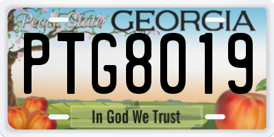 GA license plate PTG8019