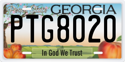 GA license plate PTG8020