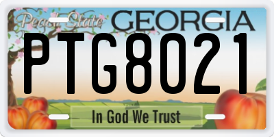 GA license plate PTG8021