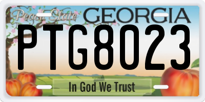 GA license plate PTG8023