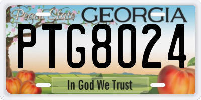GA license plate PTG8024