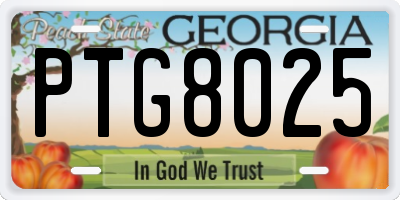GA license plate PTG8025