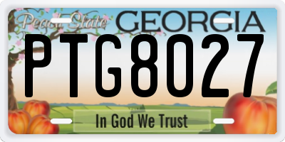GA license plate PTG8027