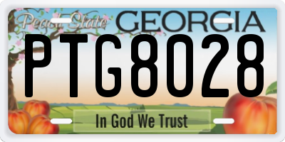 GA license plate PTG8028