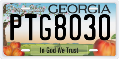 GA license plate PTG8030