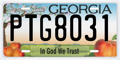 GA license plate PTG8031