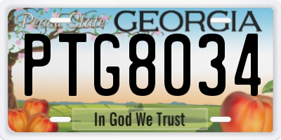 GA license plate PTG8034