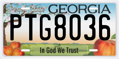 GA license plate PTG8036