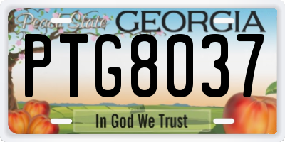 GA license plate PTG8037