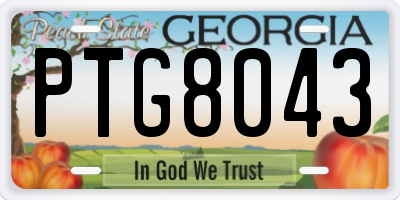 GA license plate PTG8043