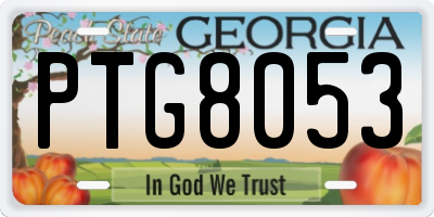 GA license plate PTG8053
