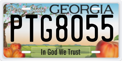 GA license plate PTG8055