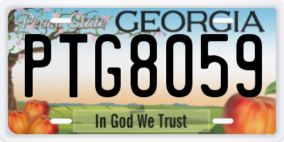 GA license plate PTG8059
