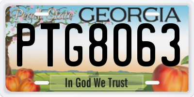 GA license plate PTG8063