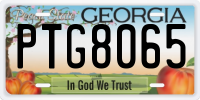 GA license plate PTG8065