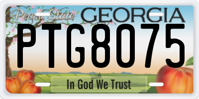 GA license plate PTG8075