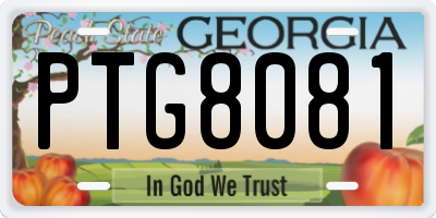 GA license plate PTG8081