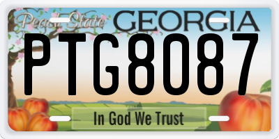 GA license plate PTG8087
