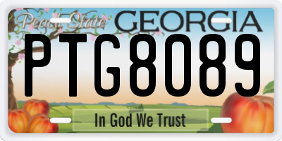 GA license plate PTG8089