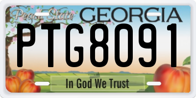 GA license plate PTG8091
