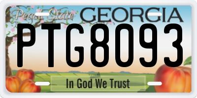 GA license plate PTG8093