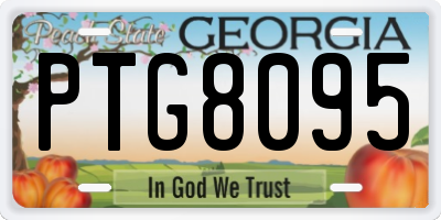 GA license plate PTG8095