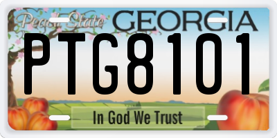 GA license plate PTG8101
