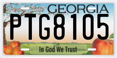 GA license plate PTG8105