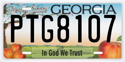 GA license plate PTG8107