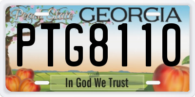 GA license plate PTG8110