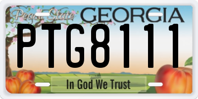 GA license plate PTG8111