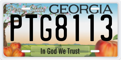 GA license plate PTG8113