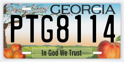 GA license plate PTG8114