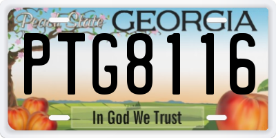 GA license plate PTG8116