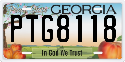 GA license plate PTG8118