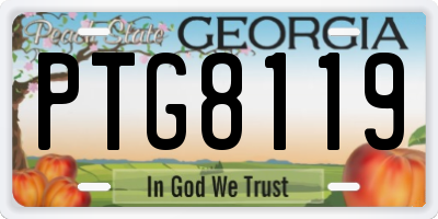 GA license plate PTG8119
