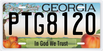 GA license plate PTG8120
