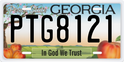 GA license plate PTG8121
