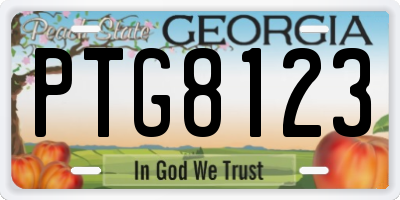 GA license plate PTG8123