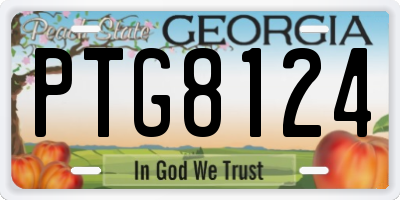 GA license plate PTG8124