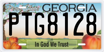 GA license plate PTG8128