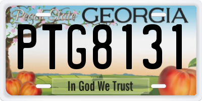 GA license plate PTG8131
